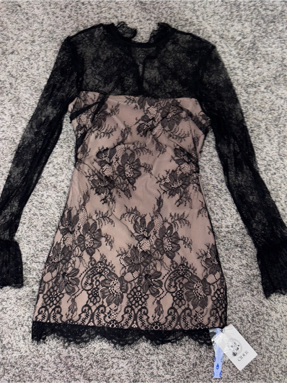 Cider Black Lace Overlay on Nude Mini Dress
